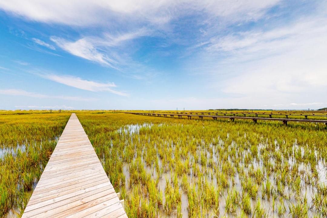 Photo of Others in Edisto Island