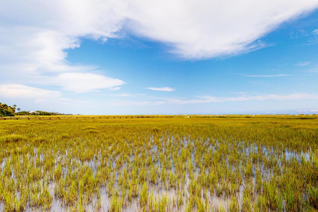 Photo of Others in Edisto Island