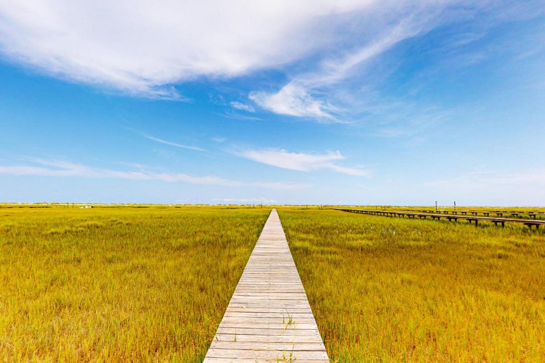 Photo of Others in Edisto Island