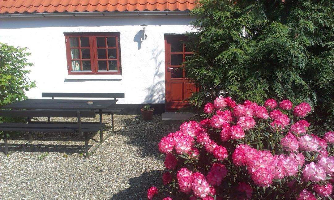 Photo of Others in Viborg