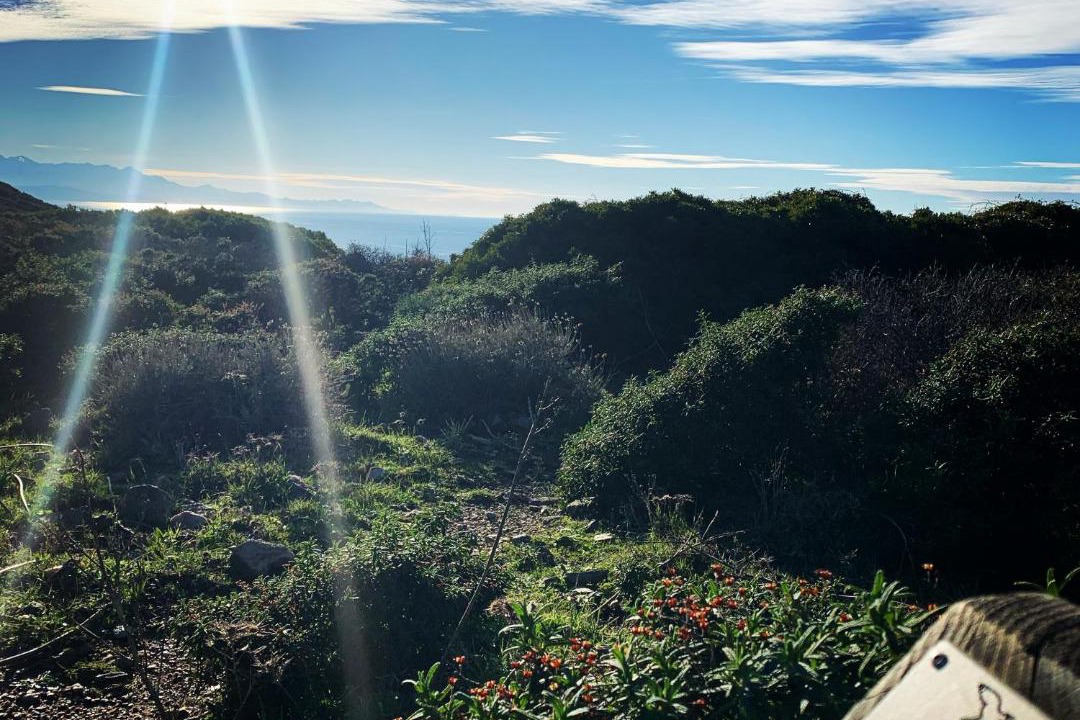 Photo of Others in Ersa