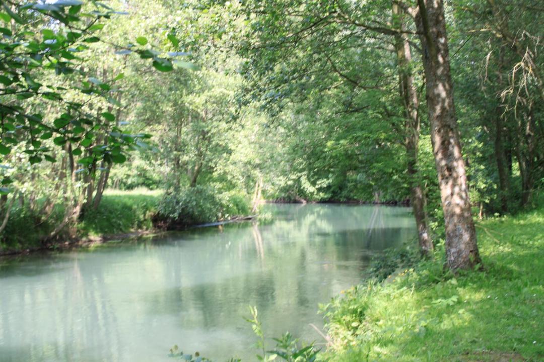 Photo of Others in Beaurainville