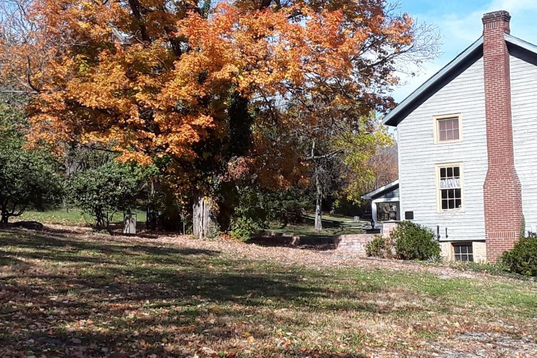 Photo of Others in Donegal