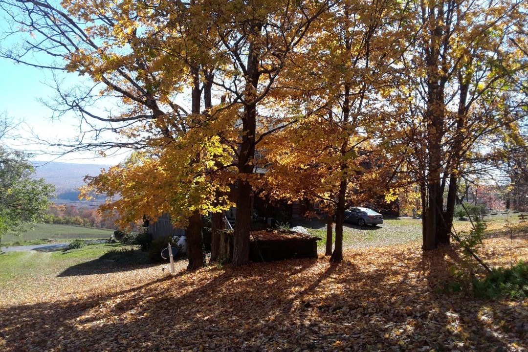 Photo of Others in Donegal