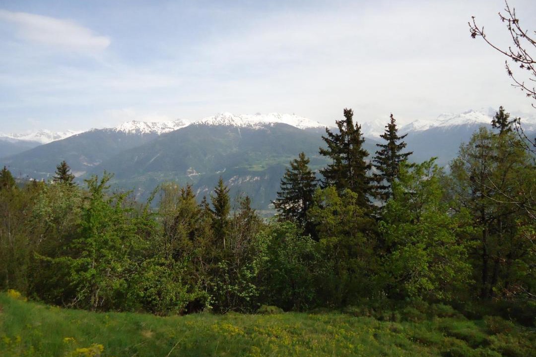 Photo of Others in Anzere