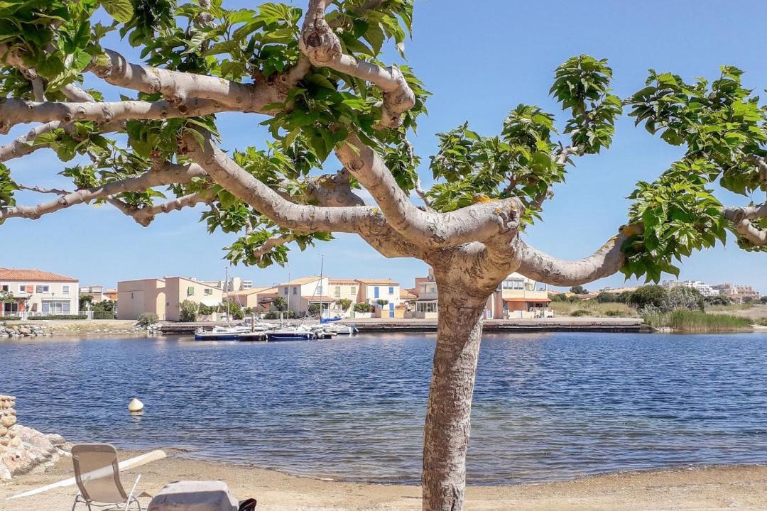 Photo of Outdoor in Le Barcares