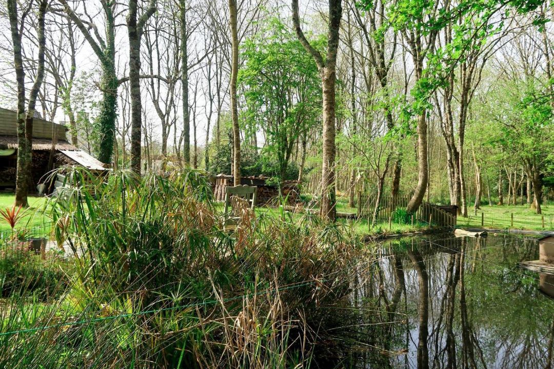 Photo of Others in Crozon