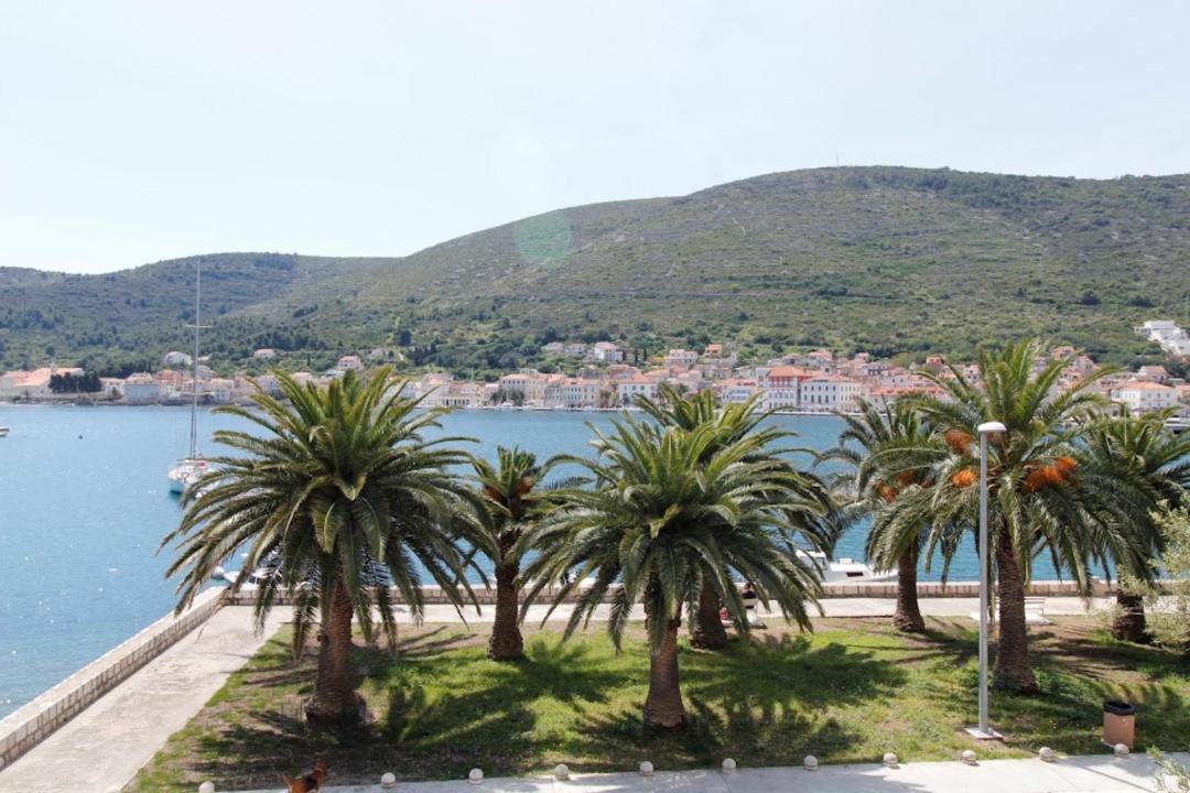 Photo of Others in Cove Rogacic
