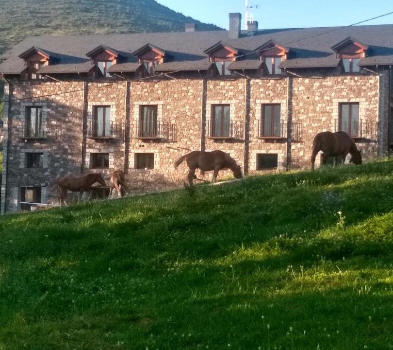 Photo of Others in Laspaules