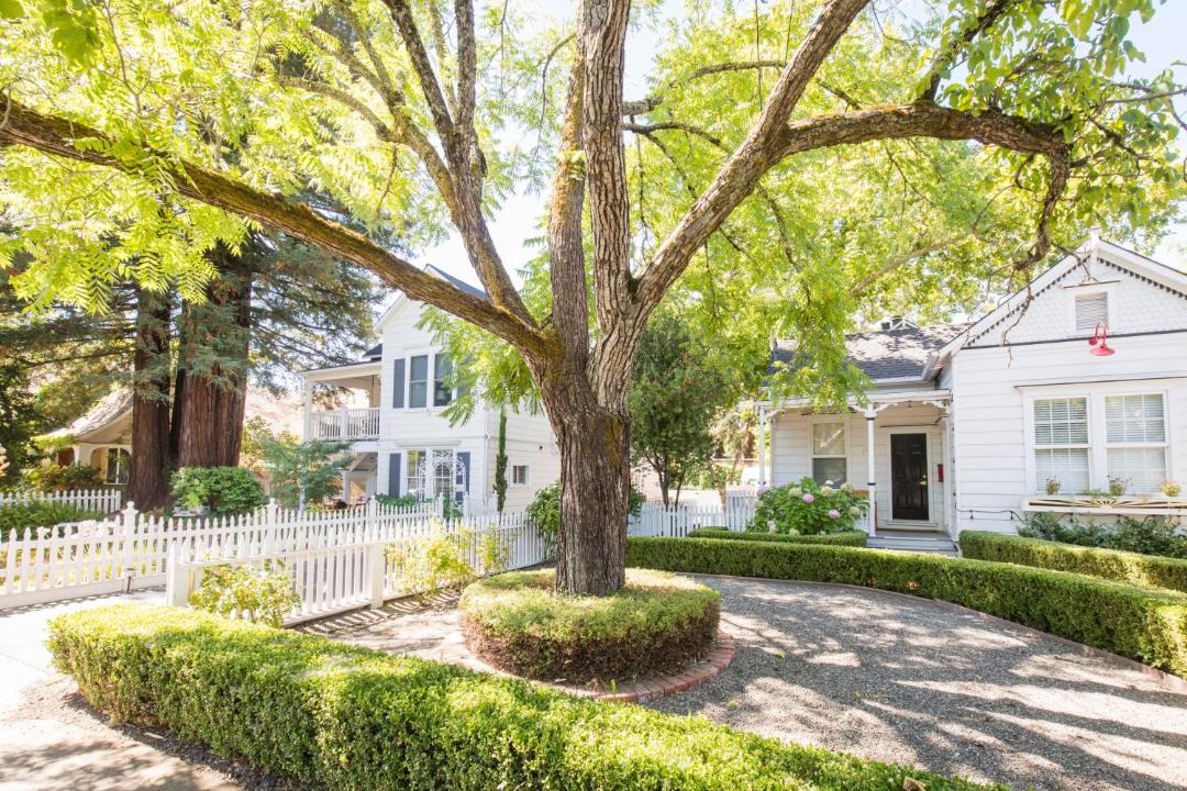 Photo of Others in St. Helena