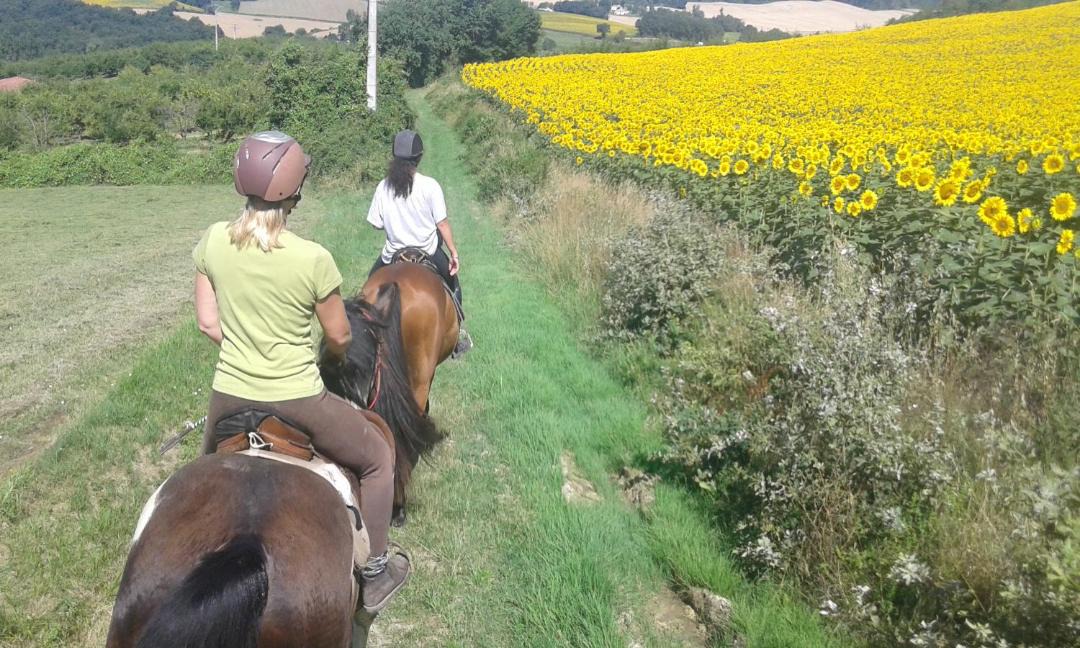 Photo of Human In Picture in Pailloles