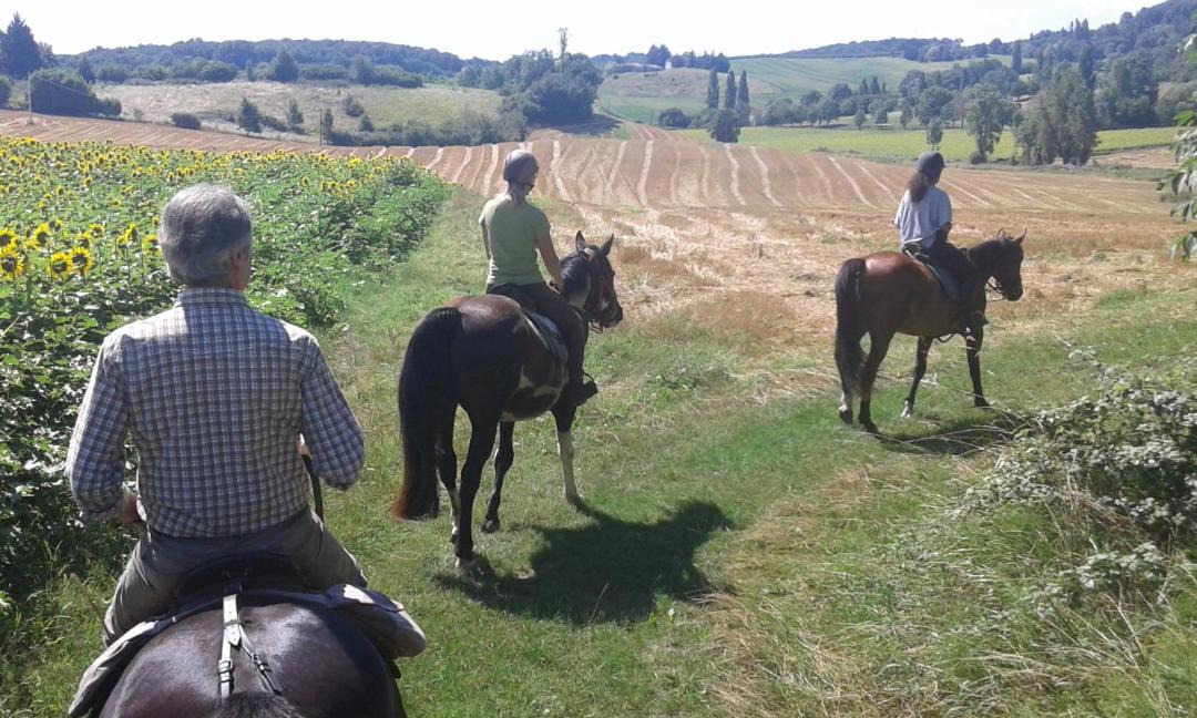 Photo of Others in Pailloles