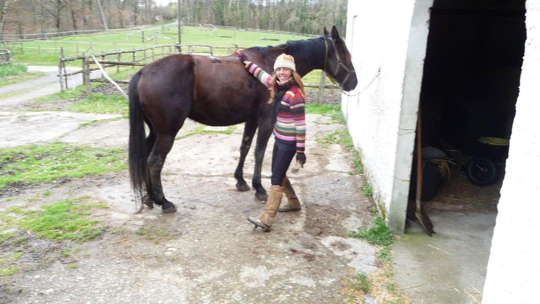 Photo of Human In Picture in Pailloles