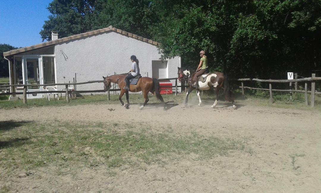 Photo of Buildings in Pailloles