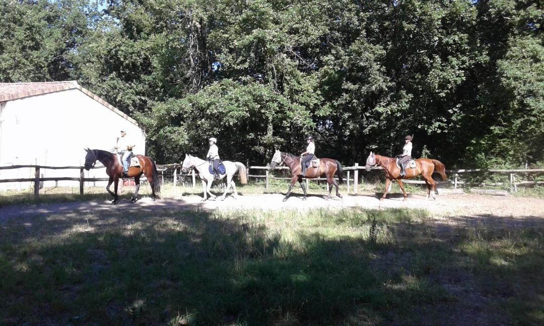 Photo of Others in Pailloles