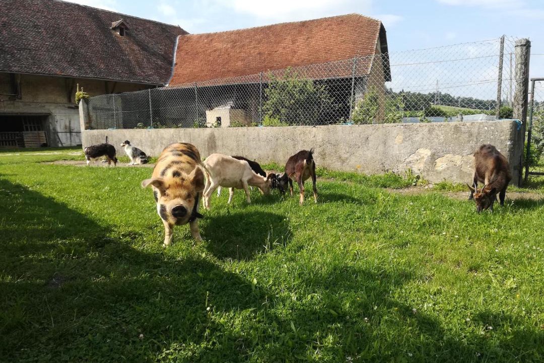 Photo of Others in Chelieu