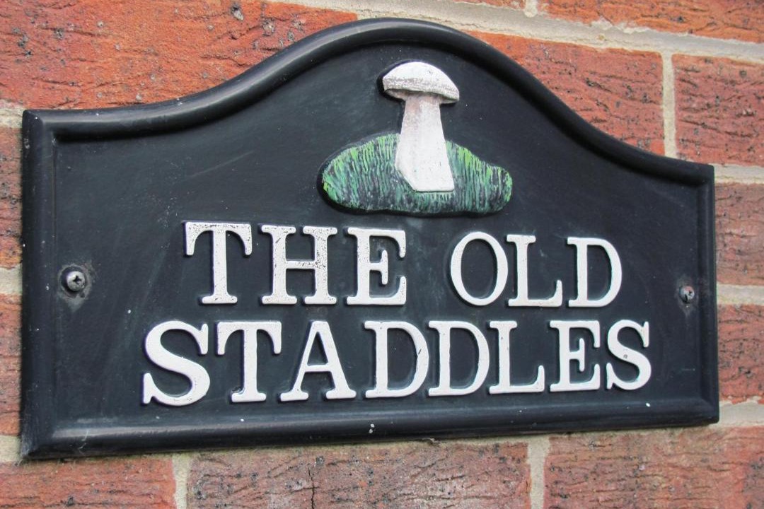 Photo of Others in Chute Forest