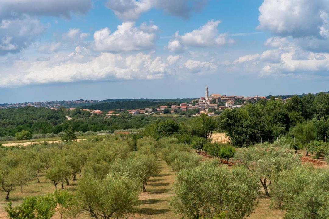 Photo of Outdoor in Strpacici