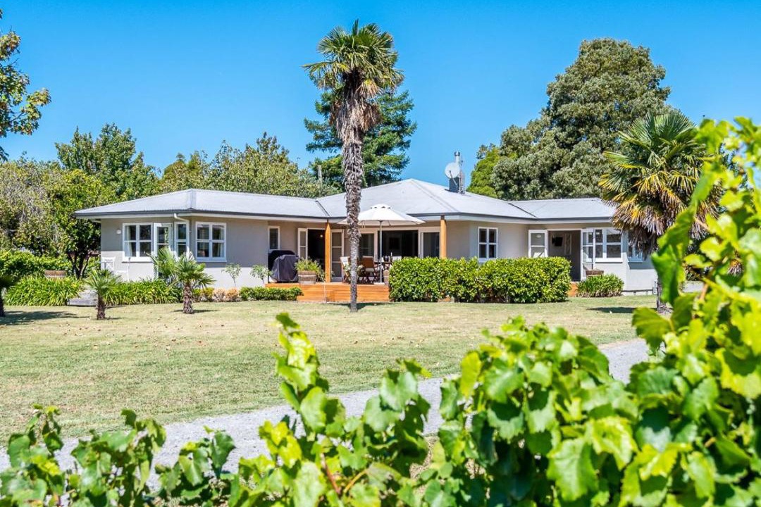 Photo of Buildings in Napier