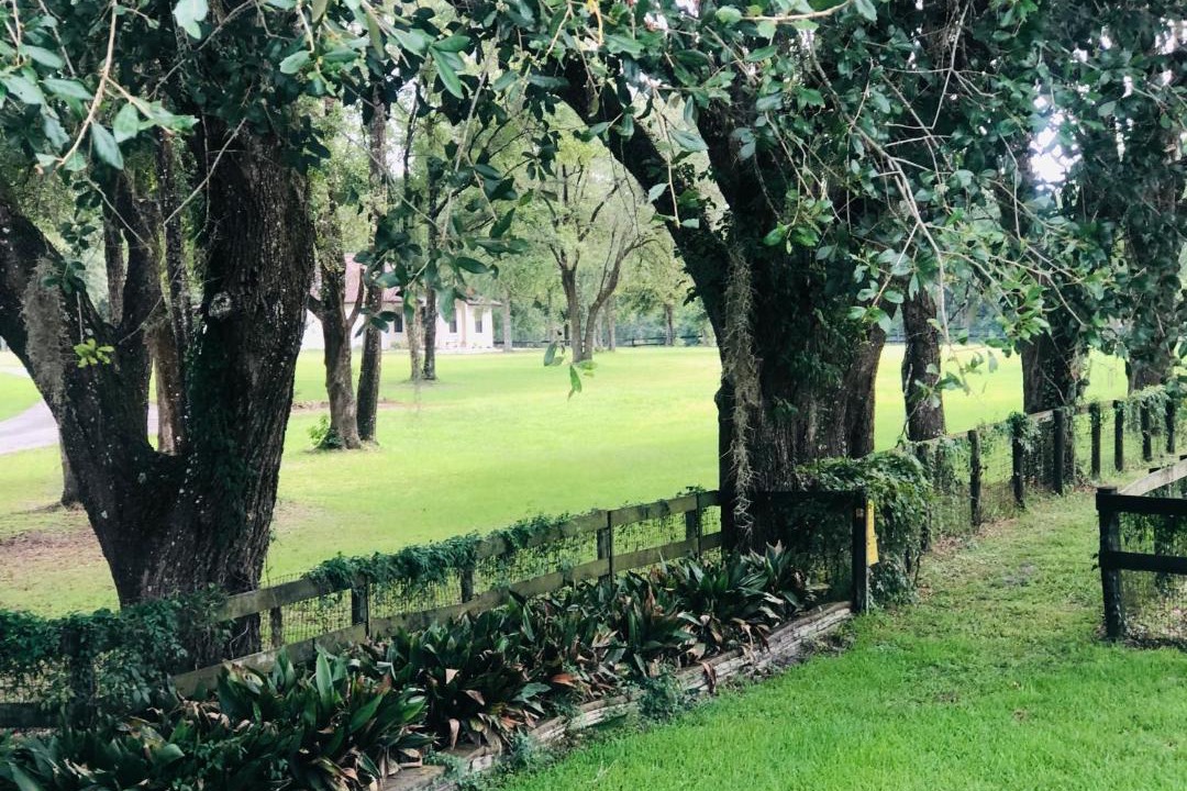 Photo of Others in Fellowship