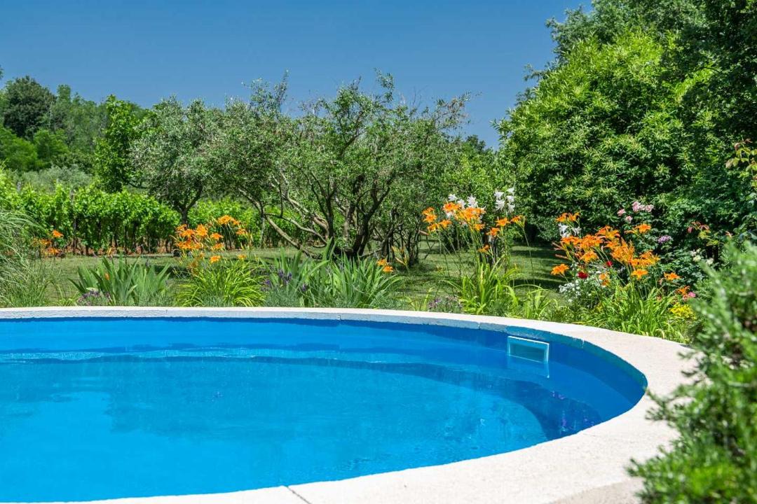 Photo of Outdoor in Zupanici