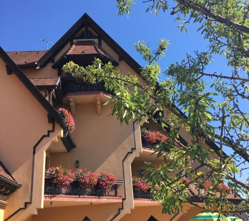 Photo of Others in Mittelwihr