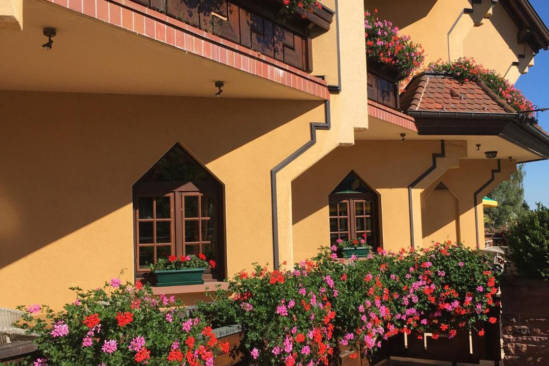 Photo of Others in Mittelwihr