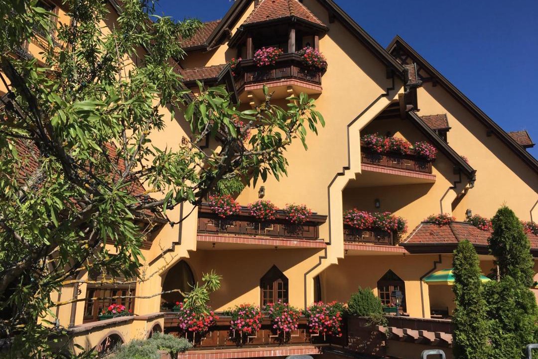 Photo of Others in Mittelwihr