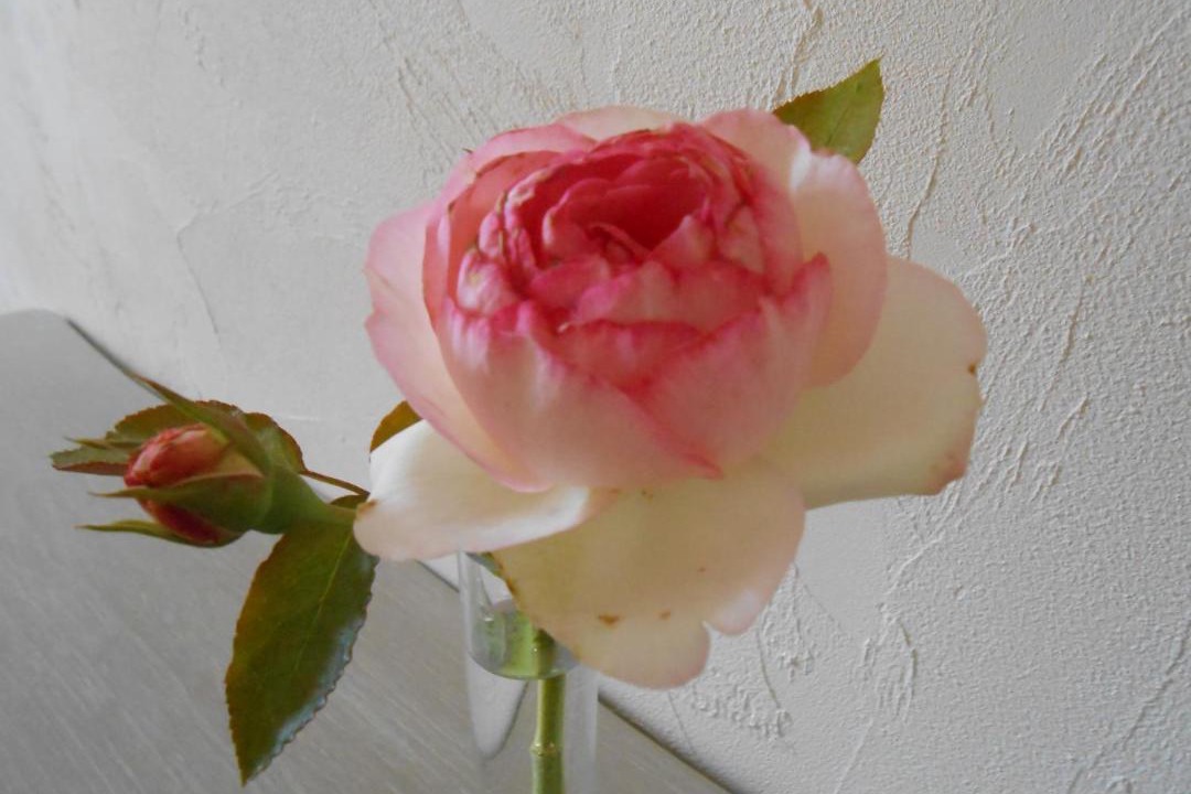 Photo of Others in Puisseguin