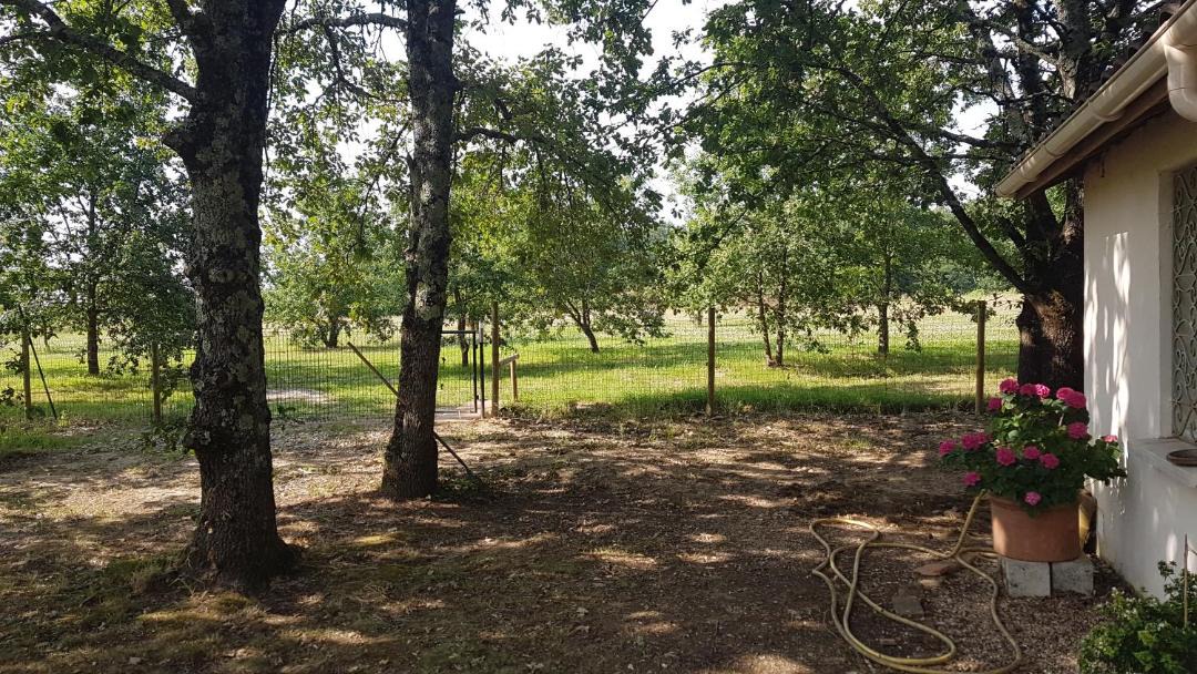 Photo of Others in Saint-Antoine-de-Breuilh