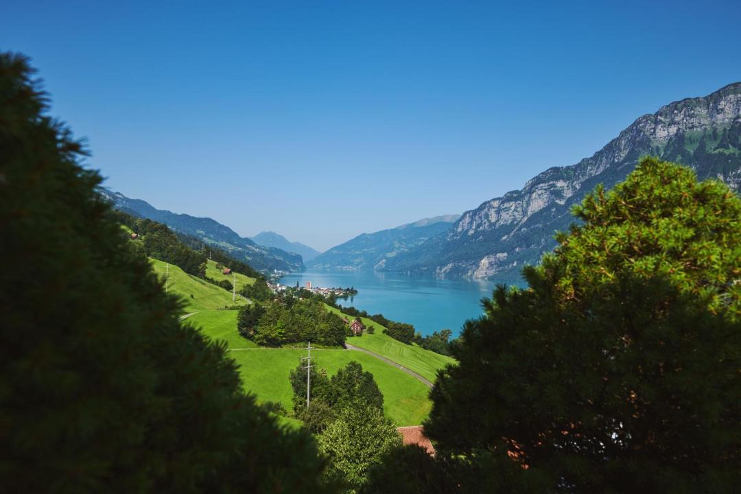 Photo of Others in Quarten