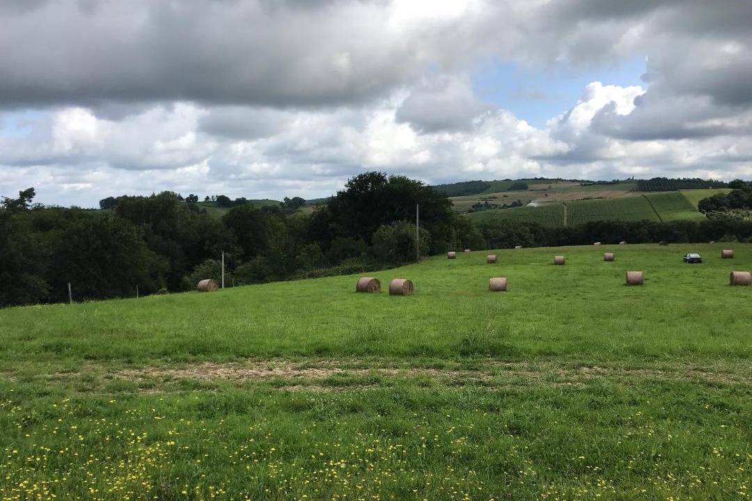 Photo of Others in Puygaillard-de-Quercy