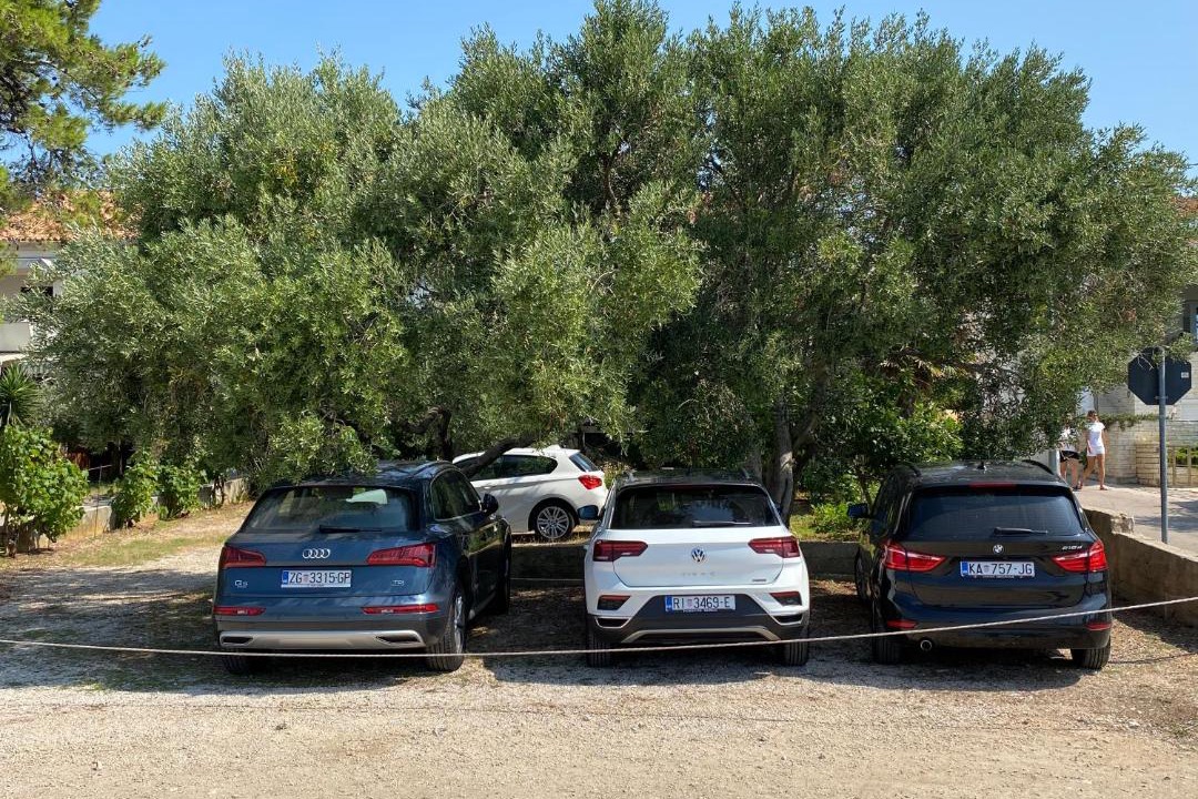Photo of Others in Novalja