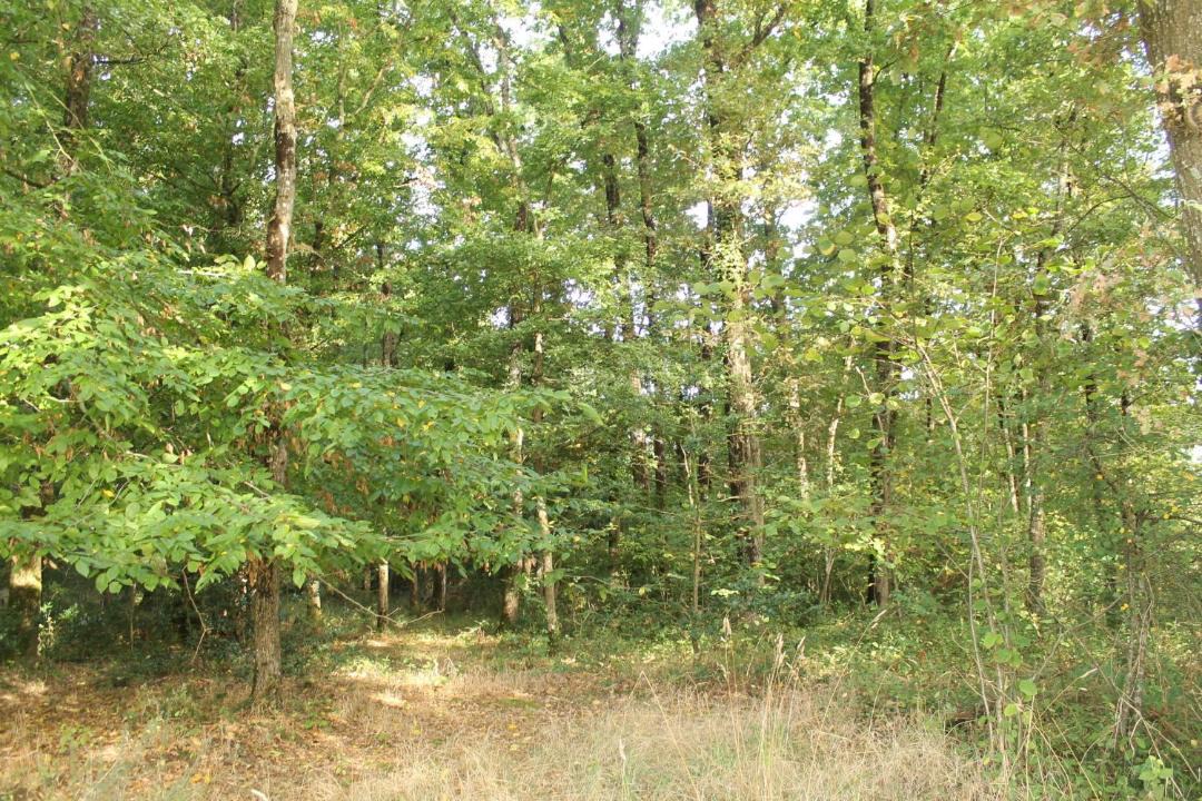 Photo of Outdoor in Beauvau