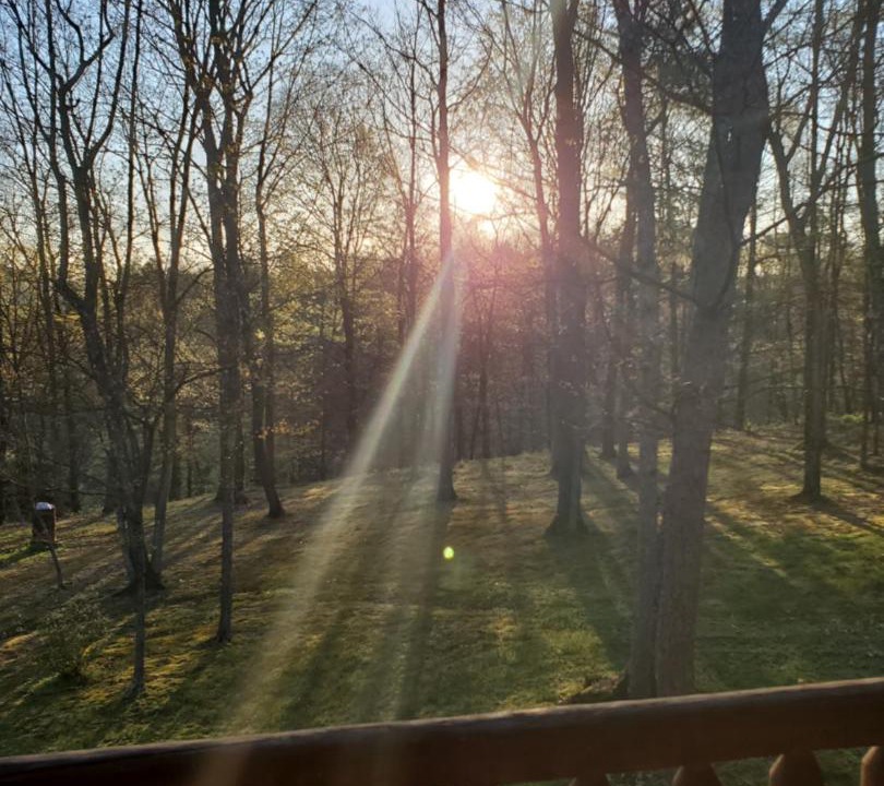 Photo of Others in Newport