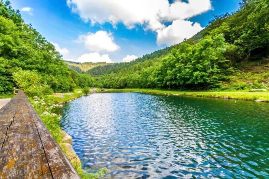 Photo of Others in Cwmcarn