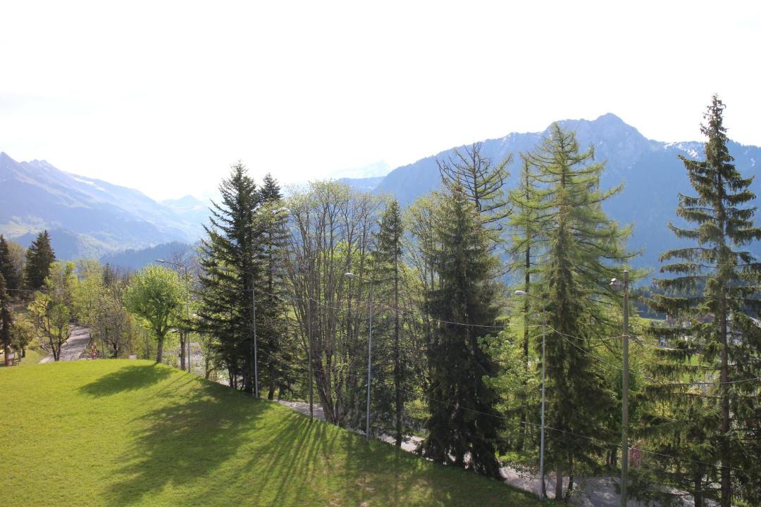 Photo of Others in Leysin