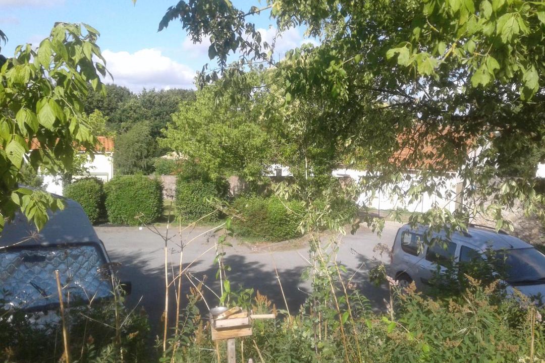 Photo of Others in La Roche-sur-Yon