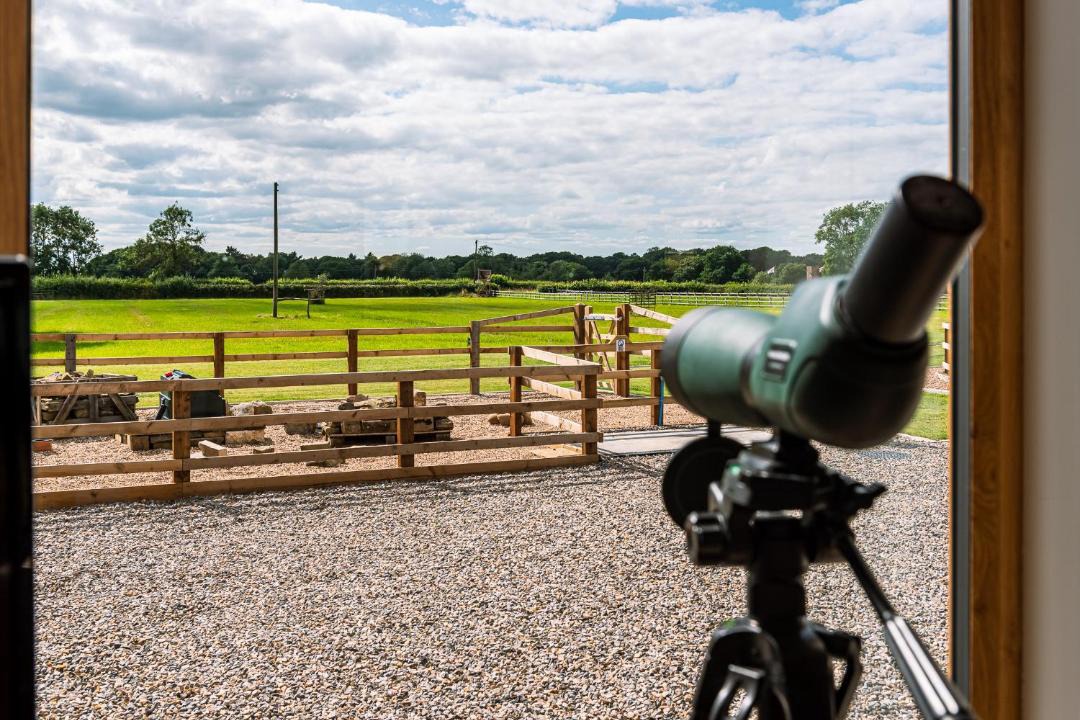 Photo of Others in York