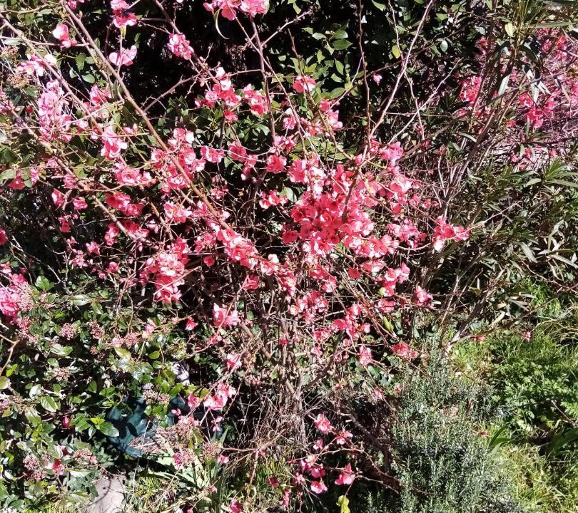 Photo of Outdoor in Saint-Fortunat-sur-Eyrieux