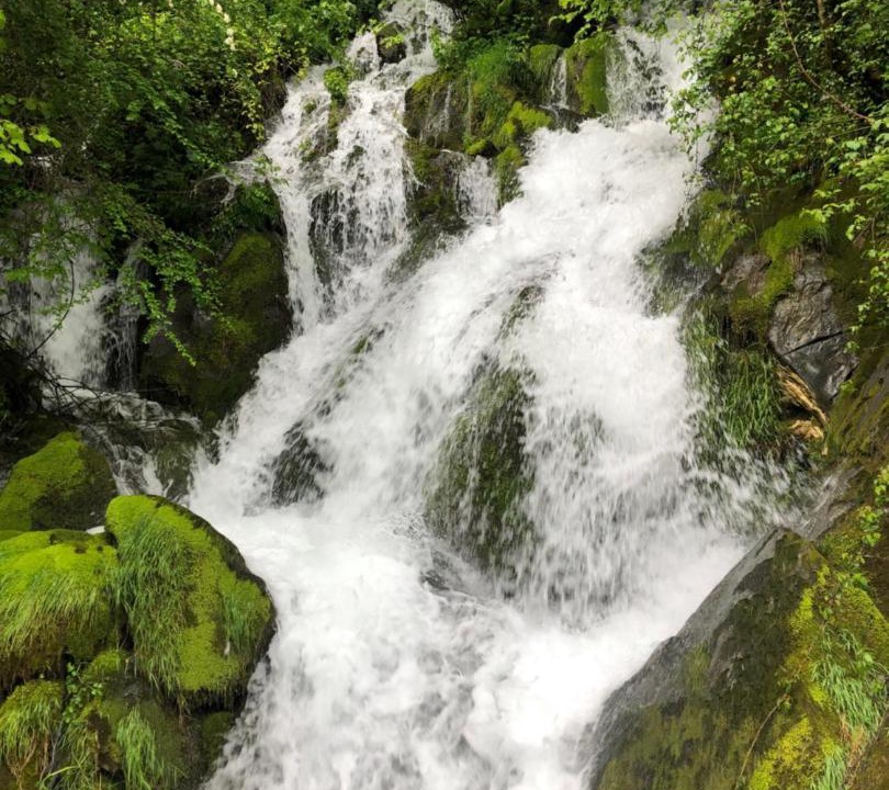 Photo of Others in Bielle