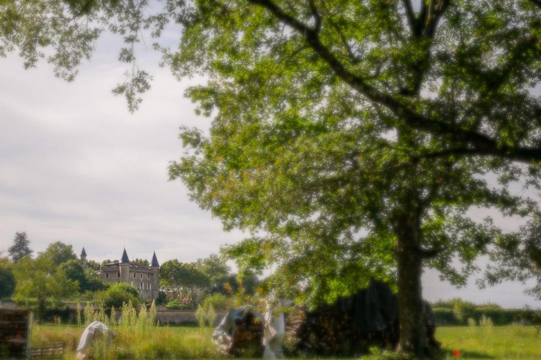 Photo of Others in Villemoirieu