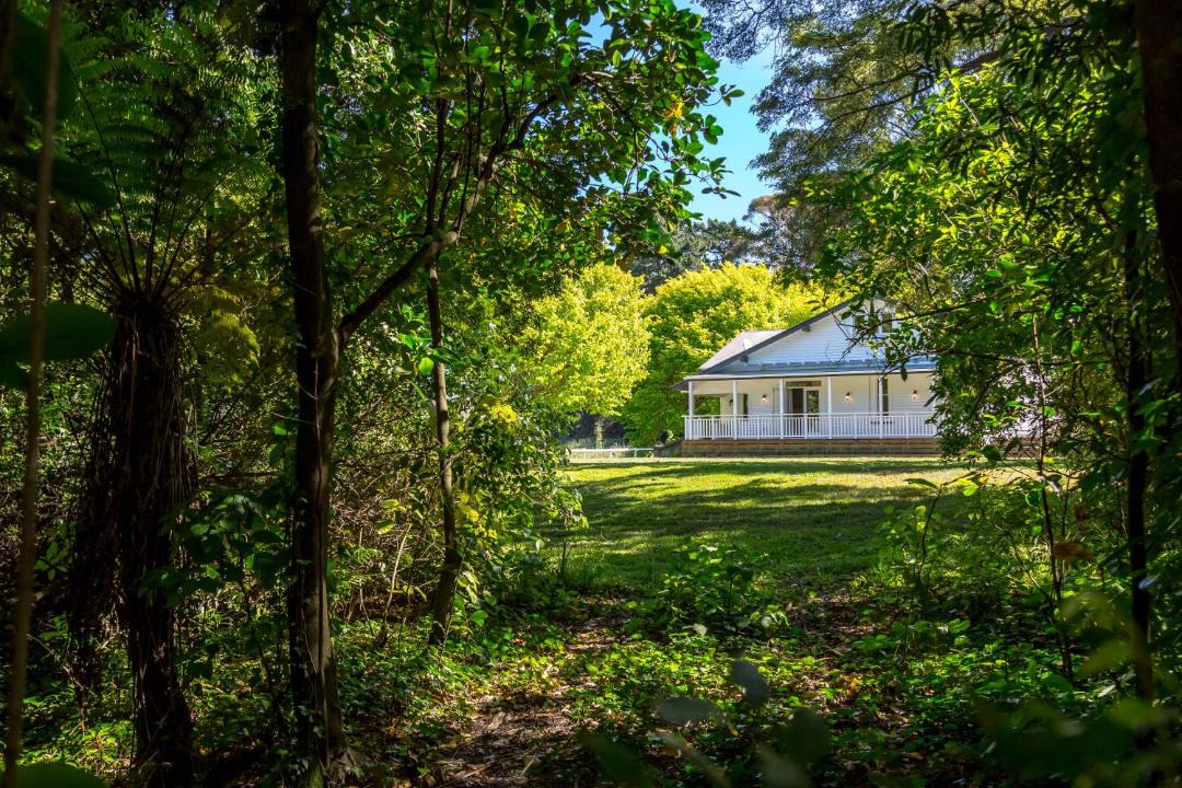 Photo of Others in Pirinoa