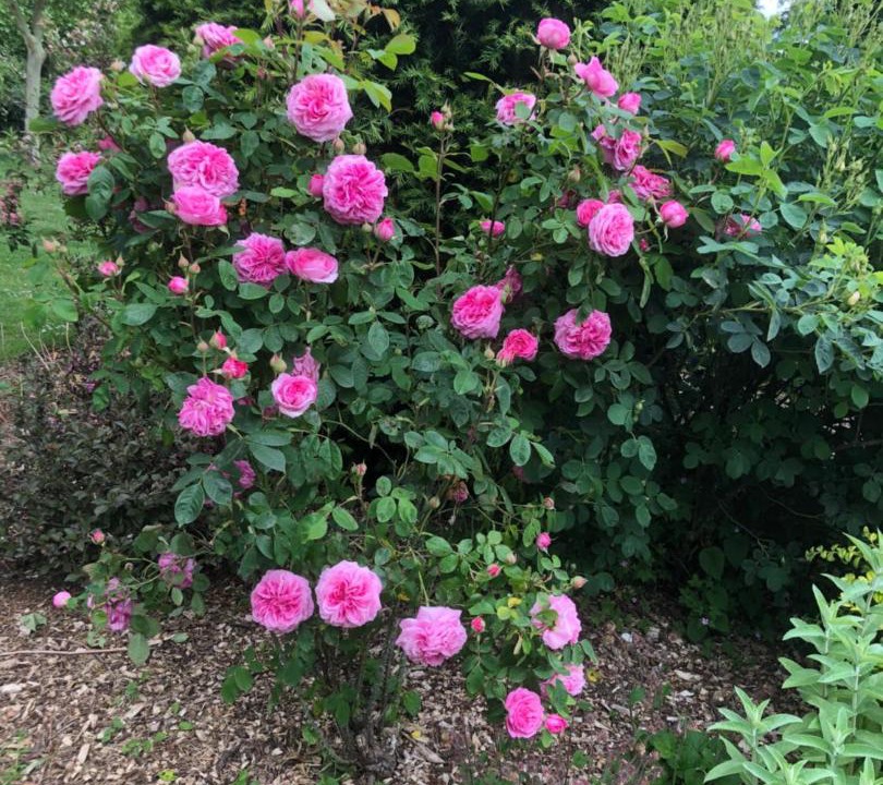 Photo of Others in Nunney