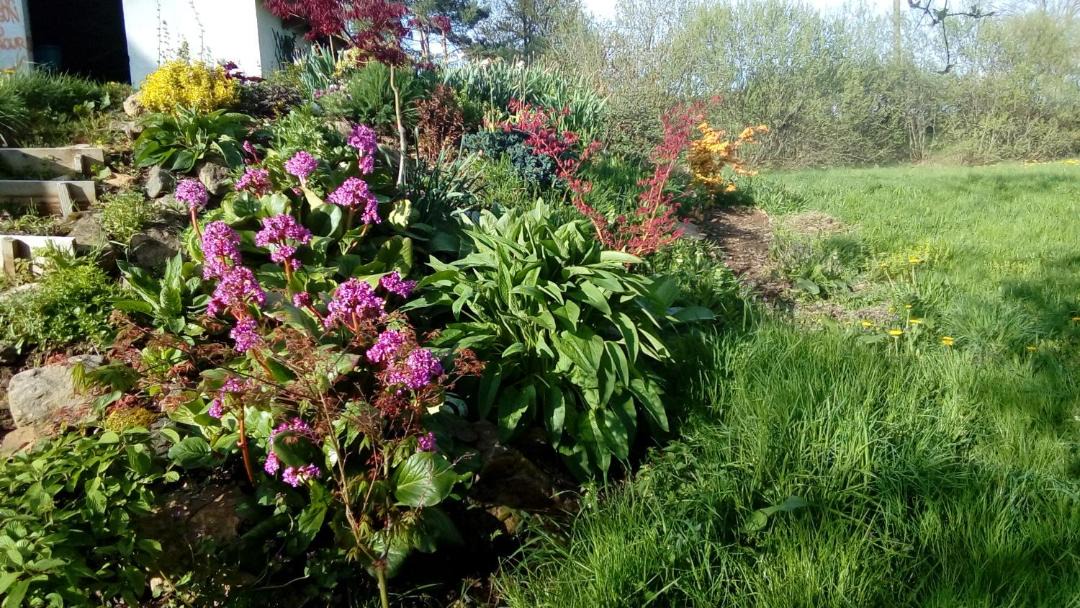 Photo of Others in Saint-Sauveur-la-Sagne