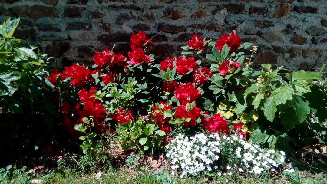 Photo of Others in Saint-Sauveur-la-Sagne