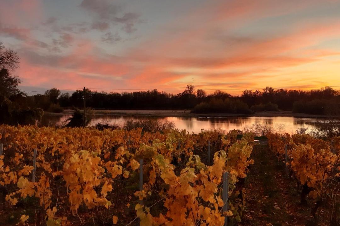 Photo of Outdoor in Pouilly-sur-Loire