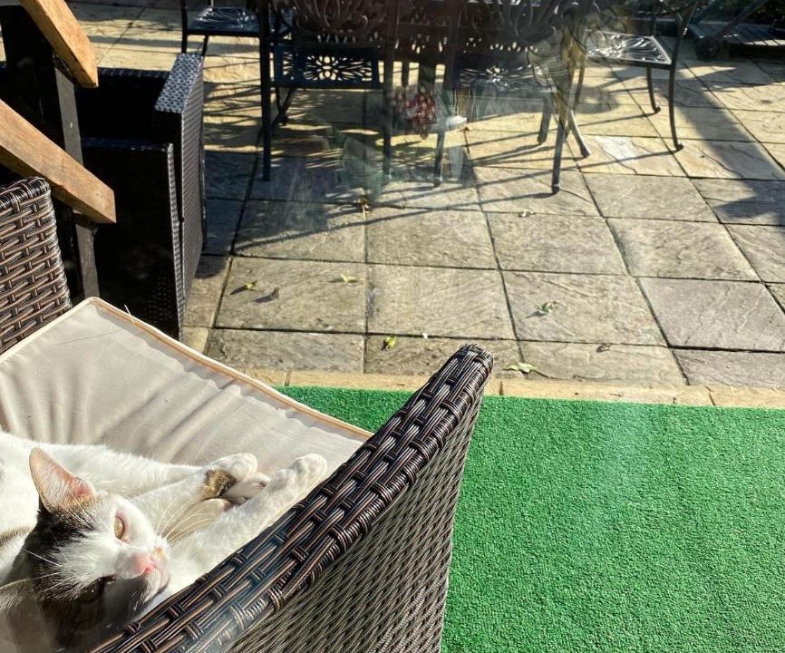 Photo of Patio Balcony in Seend