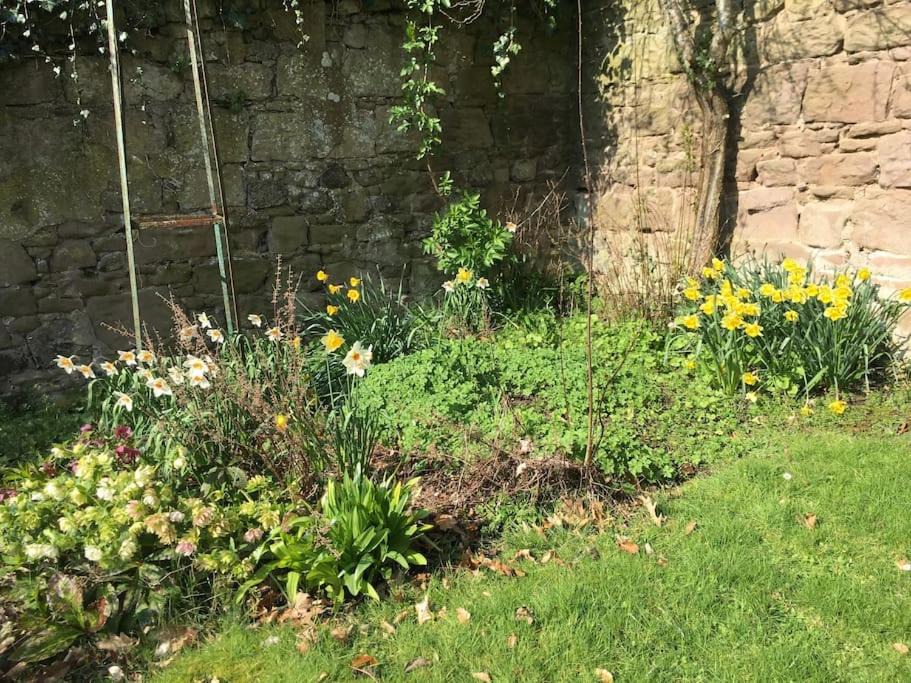 Photo of Others in Swinton