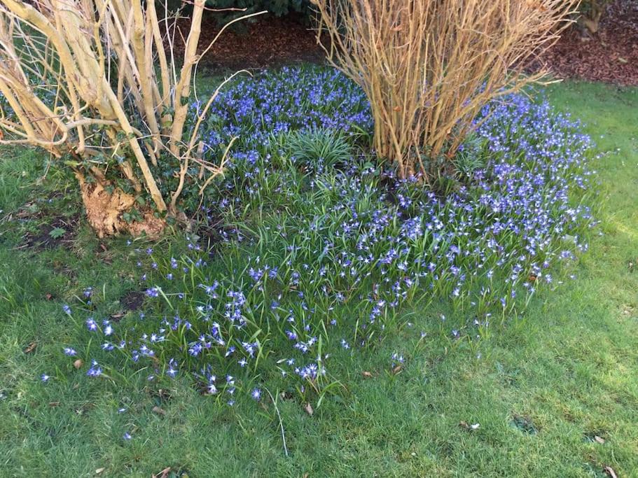 Photo of Outdoor in Swinton